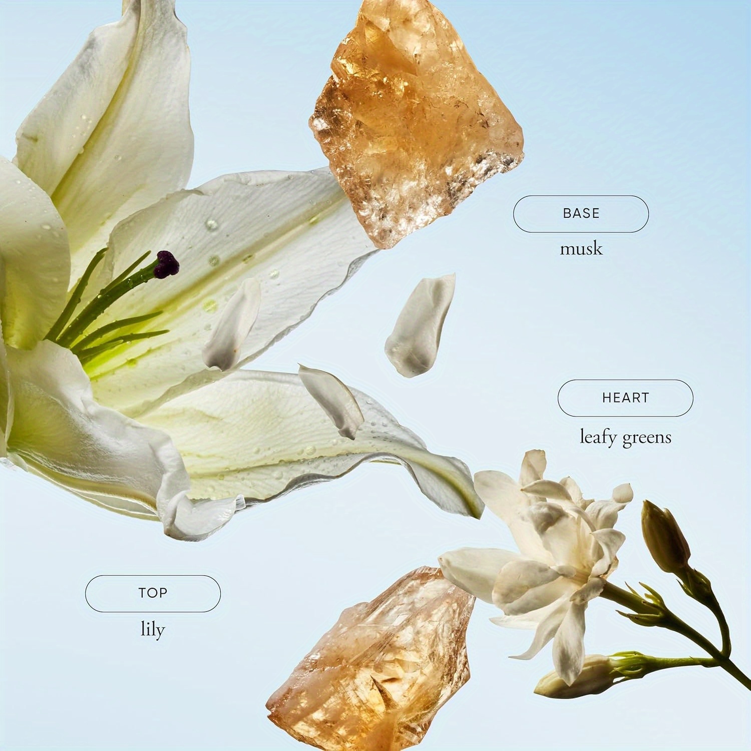 Amazing Grace Eau De Parfum In - Perfume Juicy Fragrance avis et prix