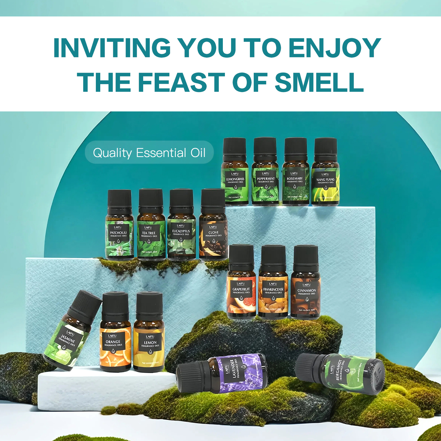 16x10ml Essential Oils Set for - Perfume Fragrance Making avis et prix