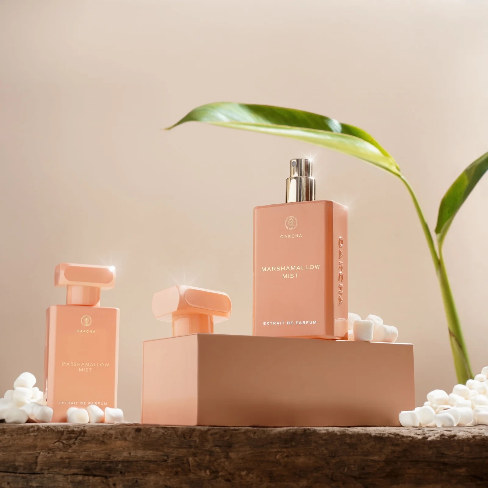 OAKCHA Marshmallow Mist Perfum - Perfume Juicy Fragrance avis et prix