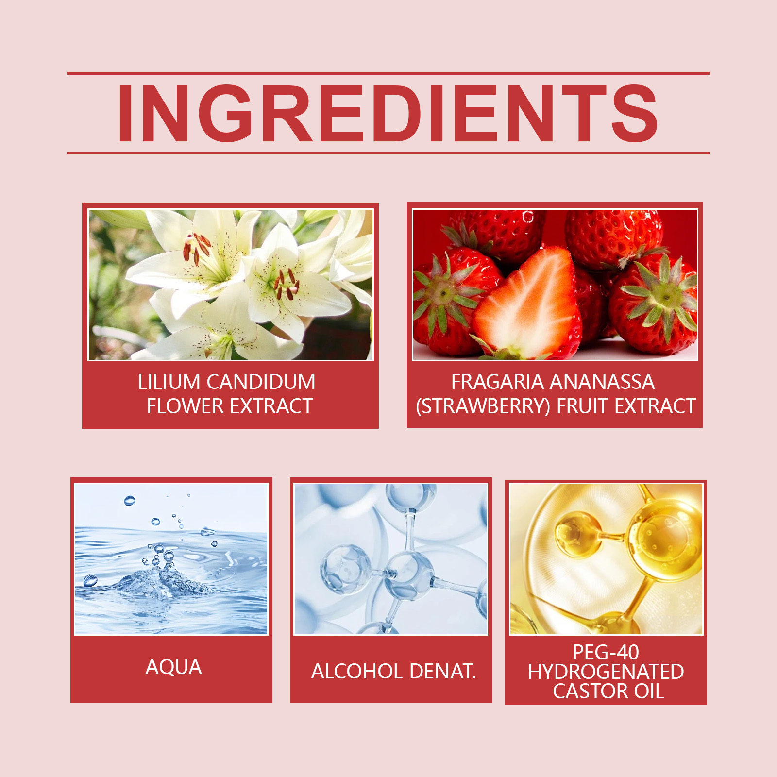 Roxelis Rose Lily Charm Perfum - Perfume Top Fragrance avis et prix