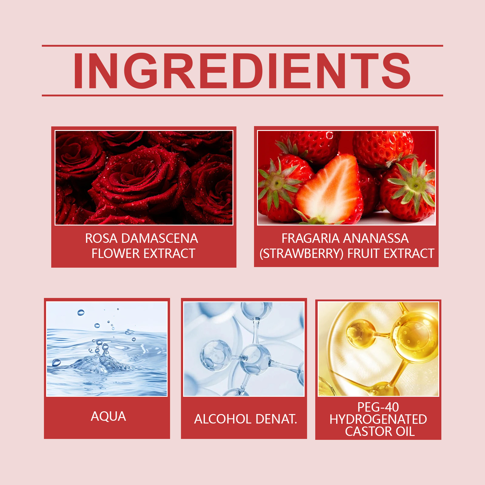 Roxelis Rose Lily Charm Perfum - Perfume Top Fragrance avis et prix