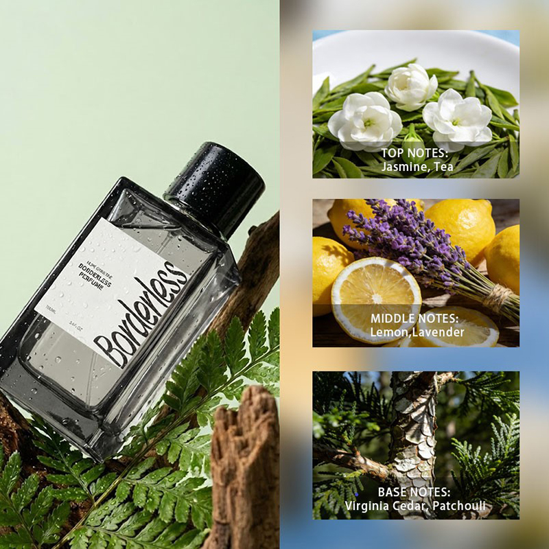Luxury Borderless Men Perfume  - Fragrance Perfume For Man avis et prix